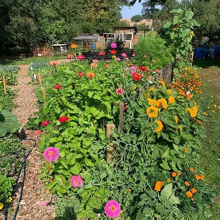 Aparthotel Himmelreich Ruegen