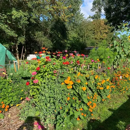 Aparthotel Himmelreich Ruegen
