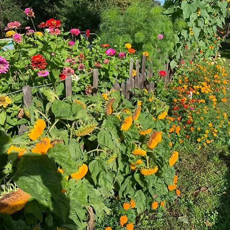 Апарт-отель Himmelreich Ruegen 3*