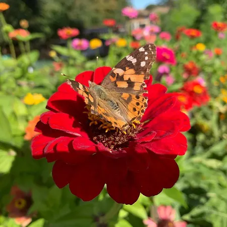 Himmelreich Ruegen Aparthotel