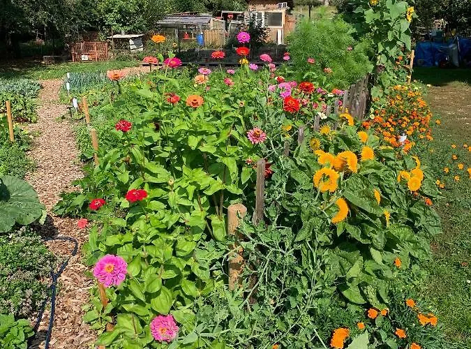 Апарт-отель Himmelreich Ruegen